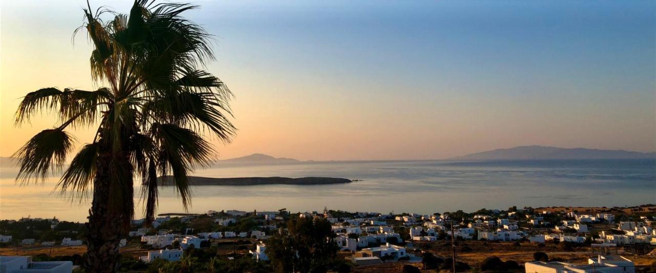 Villa Rossi Paros Luxury Apartments And Suites Δρυός Εξωτερικό φωτογραφία