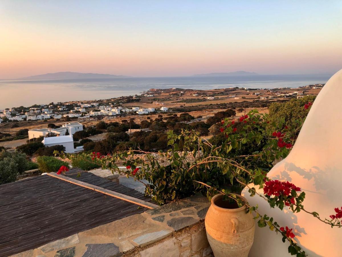 Villa Rossi Paros Luxury Apartments And Suites Δρυός Εξωτερικό φωτογραφία
