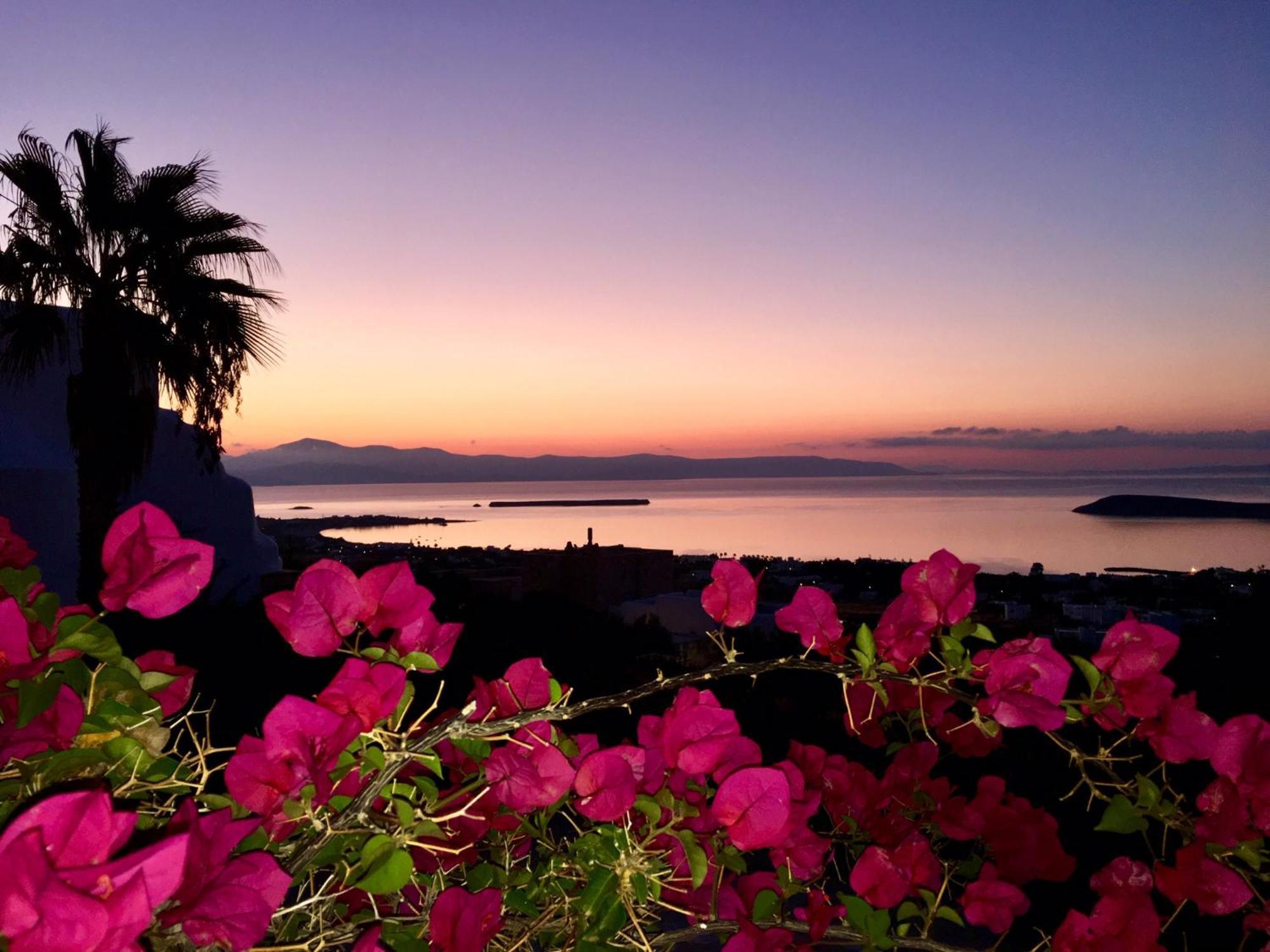 Villa Rossi Paros Luxury Apartments And Suites Δρυός Εξωτερικό φωτογραφία
